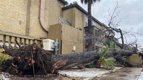 Tree falls at Central Austin apartment complex sending one 